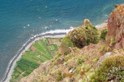 madeira_mbl_2010-06-24_079_1000