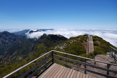 madeira_mbl_2010-06-25_077_1000