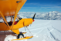 5958028_tb