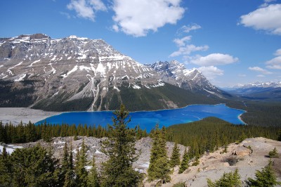 Peyto Lake @ Banff N.P.